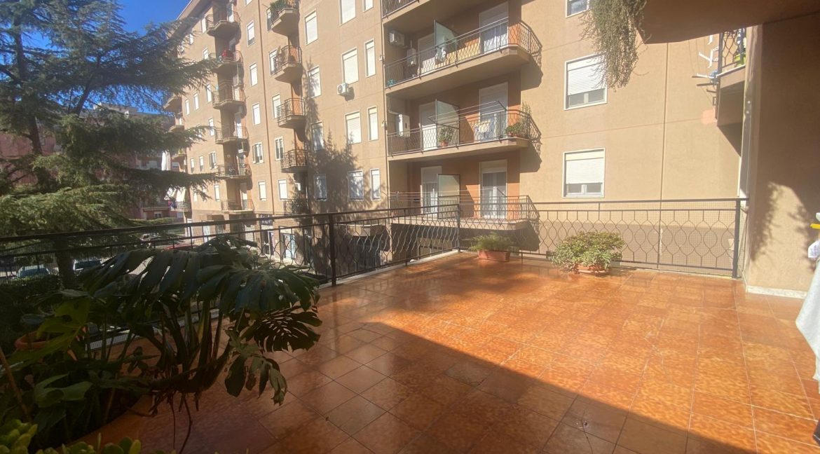 WhatsApp Image 2025-11-20 at 12.38.59 (6)