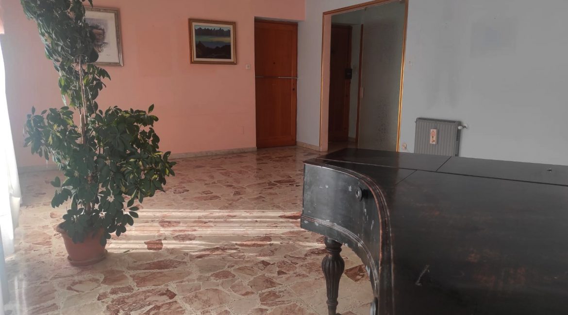 WhatsApp Image 2026-03-03 at 08.53.36 (4) - Copia