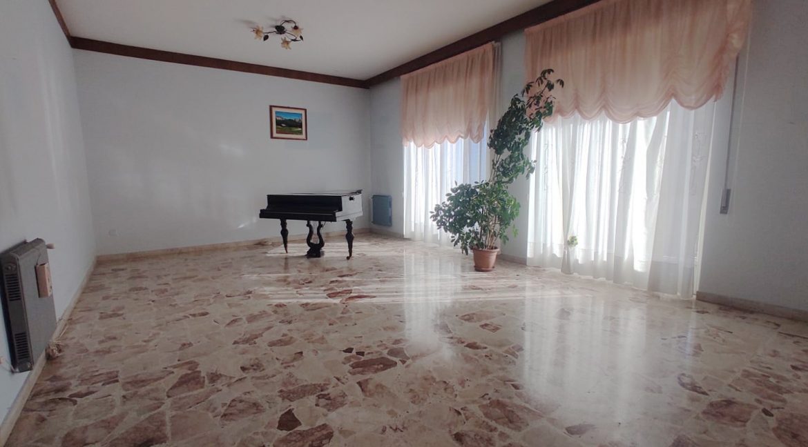 WhatsApp Image 2026-03-03 at 08.53.36 (7) - Copia